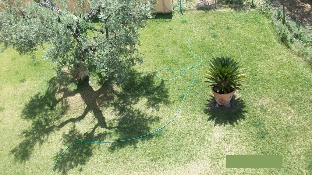 Bed and Breakfast Il Giardino Degli Ulivi Canneto  Exterior foto